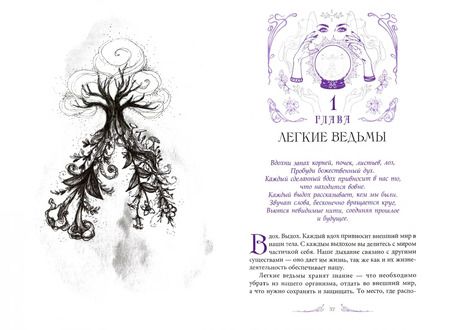 Фотография книги "Темпест Закрофф: Анатомия ведьмы. Карта магического тела"