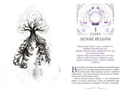 Фотография книги "Темпест Закрофф: Анатомия ведьмы. Карта магического тела"