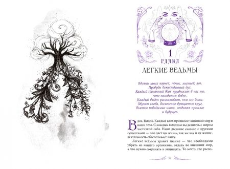 Фотография книги "Темпест Закрофф: Анатомия ведьмы. Карта магического тела"