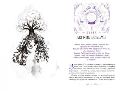 Фотография книги "Темпест Закрофф: Анатомия ведьмы. Карта магического тела"