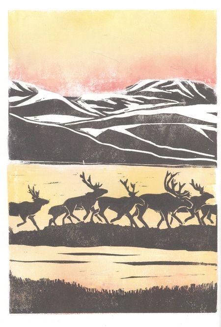 Фотография книги "Тен, Гооссенс: Север"