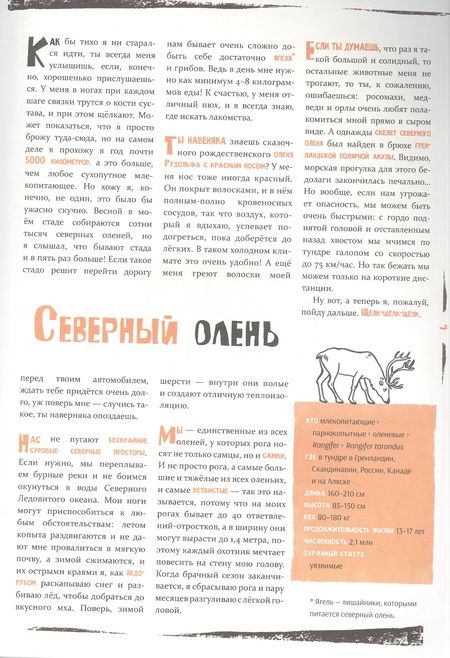 Фотография книги "Тен, Гооссенс: Север"