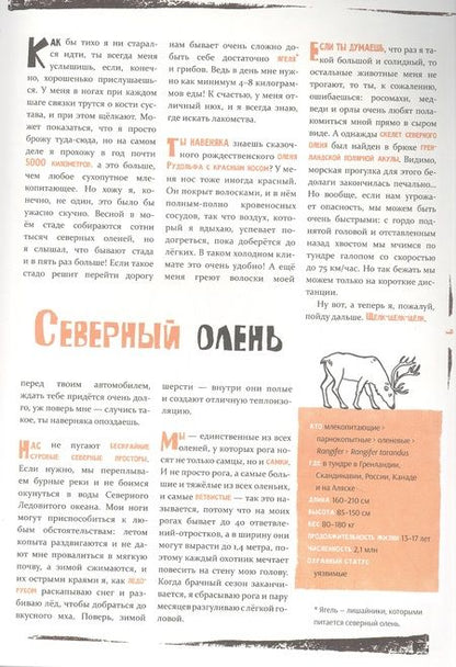 Фотография книги "Тен, Гооссенс: Север"