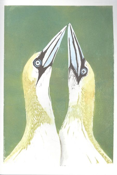 Фотография книги "Тен, Гооссенс: Север"