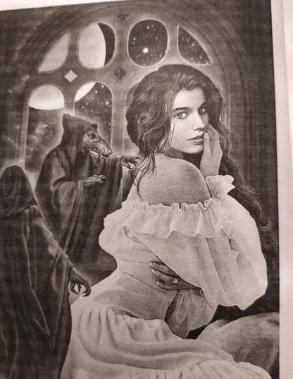 Фотография книги "Тень: Невеста его высочества"