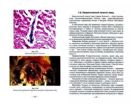 Фотография книги "Терехов, Тищенко: Анаэробные инфекции животных. Учебное пособие для вузов"