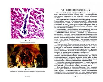 Фотография книги "Терехов, Тищенко: Анаэробные инфекции животных. Учебное пособие для вузов"