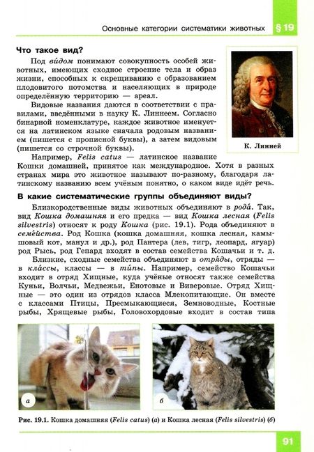 Фотография книги "Теремов, Жигарев: Биология. 8 класс. Учебник. ФГОС"