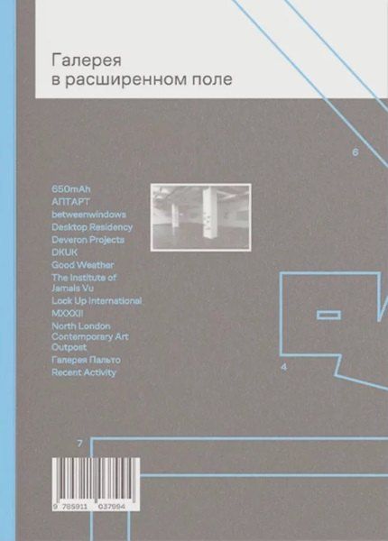 Обложка книги "Галерея в расширенном поле / The Gallery in the Expanded Field"