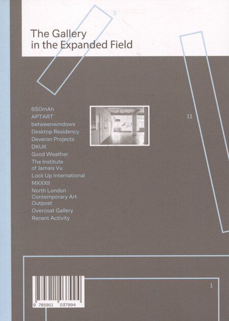 Фотография книги "Галерея в расширенном поле / The Gallery in the Expanded Field"