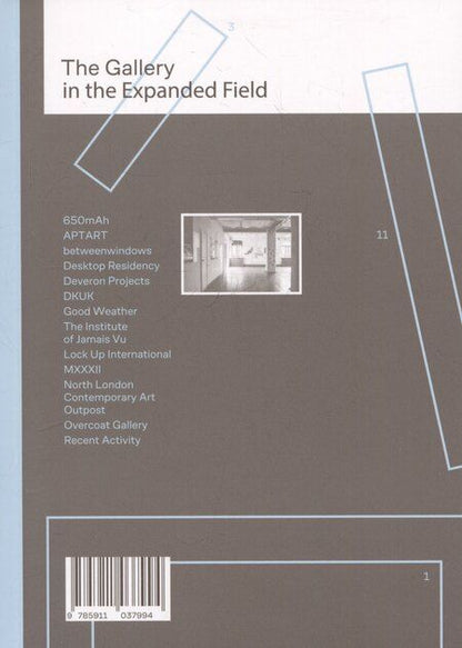 Фотография книги "Галерея в расширенном поле / The Gallery in the Expanded Field"