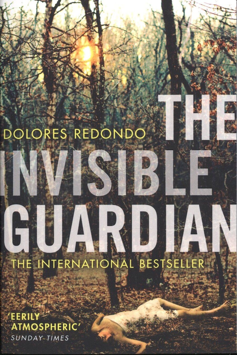 Обложка книги "The Invisible Guardian"