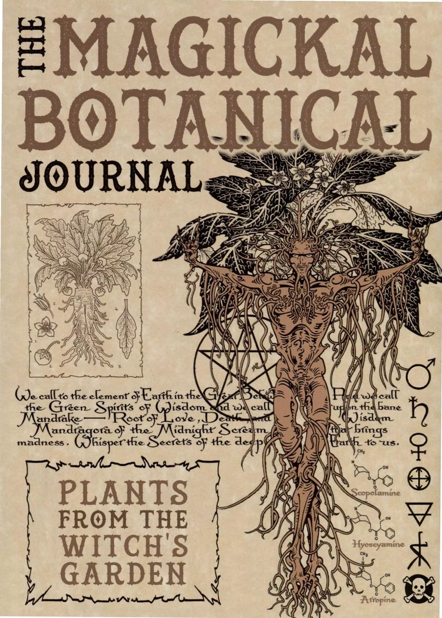 Обложка книги "Волшебный ботанический журнал / The Magical Botanical - Journal"