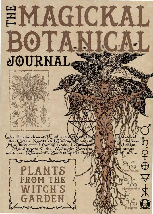 Обложка книги "Волшебный ботанический журнал / The Magical Botanical - Journal"