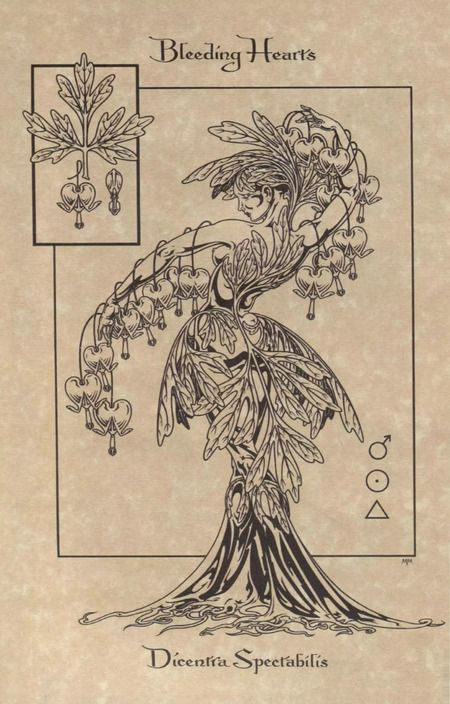 Фотография книги "Волшебный ботанический журнал / The Magical Botanical - Journal"