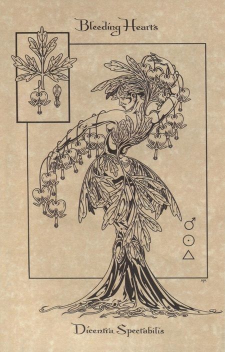 Фотография книги "Волшебный ботанический журнал / The Magical Botanical - Journal"