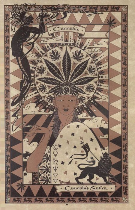 Фотография книги "Волшебный ботанический журнал / The Magical Botanical - Journal"