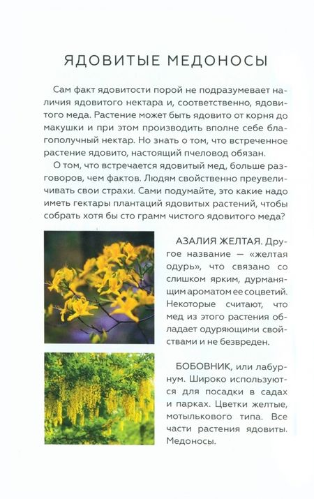 Фотография книги "Тихомиров: Энциклопедия пчеловода. От первого улья до собственной пасеки"