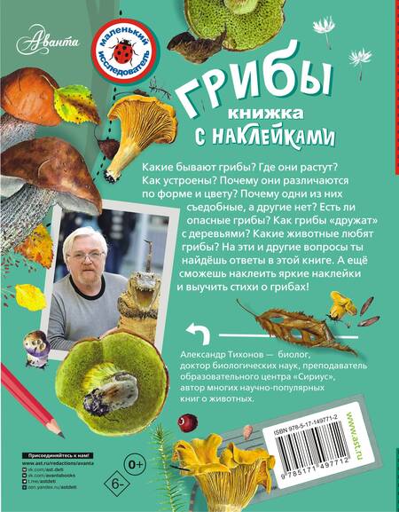 Фотография книги "Тихонов: Грибы"