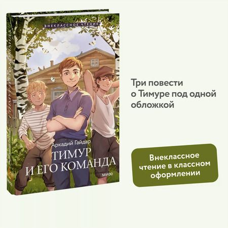 Фотография книги "Тимур и его команда (Внеклассное чтение)"