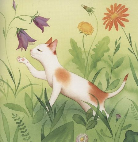 Фотография книги "Тодорович, Димитровски: Вилко. Комплект из 3-х книг"