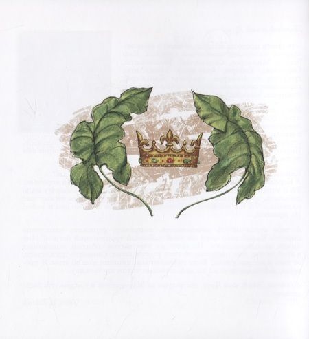 Фотография книги "Толп Вокин: Марселита. Королева Караибов. Книга 2"