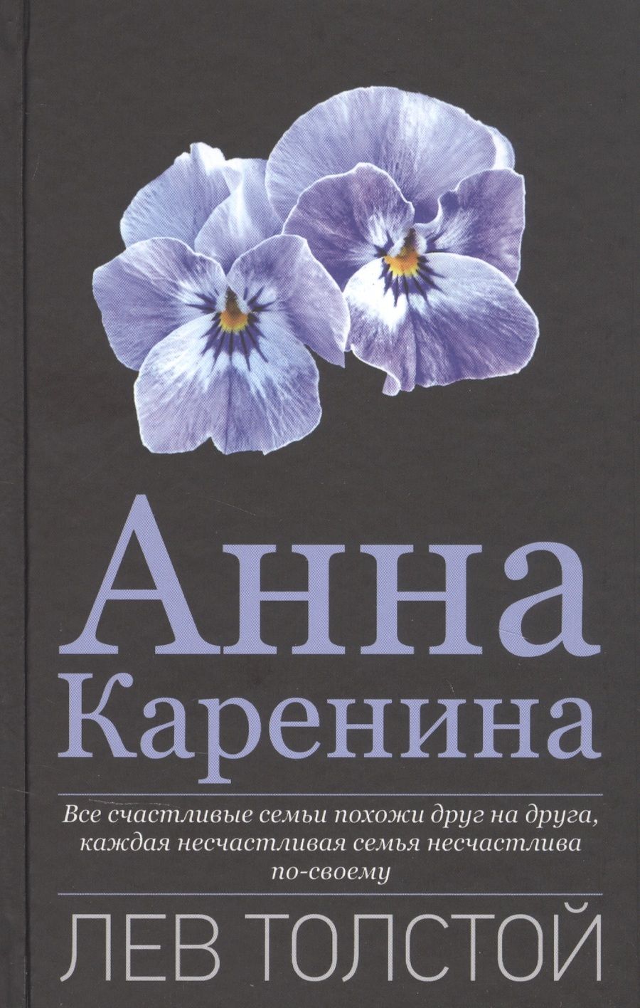 Обложка книги "Толстой: Анна Каренина"