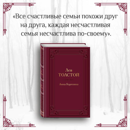 Фотография книги "Толстой: Анна Каренина"