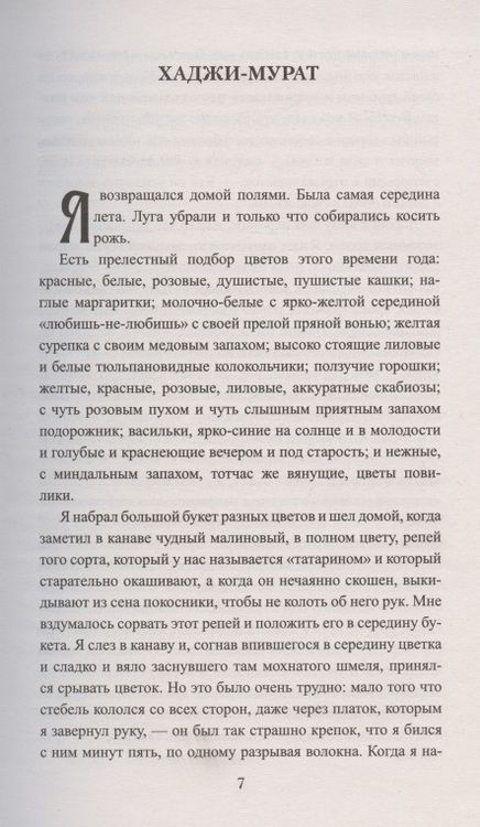 Фотография книги "Толстой: Хаджи-Мурат"