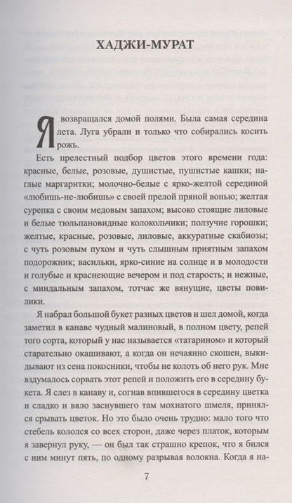 Фотография книги "Толстой: Хаджи-Мурат"