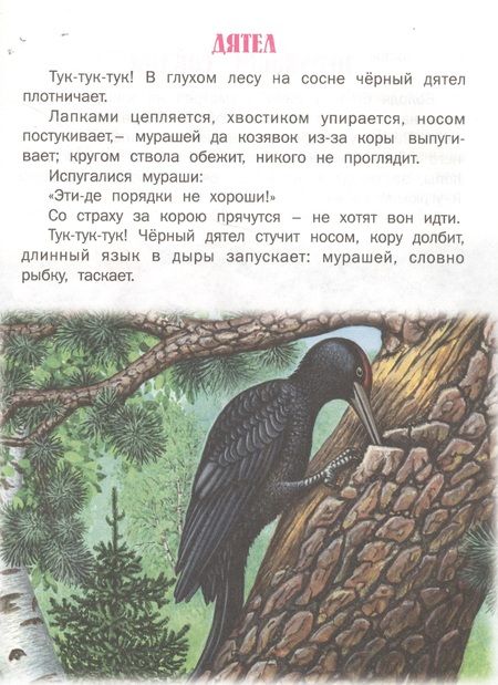 Фотография книги "Толстой, Ушинский: Страшный зверь"