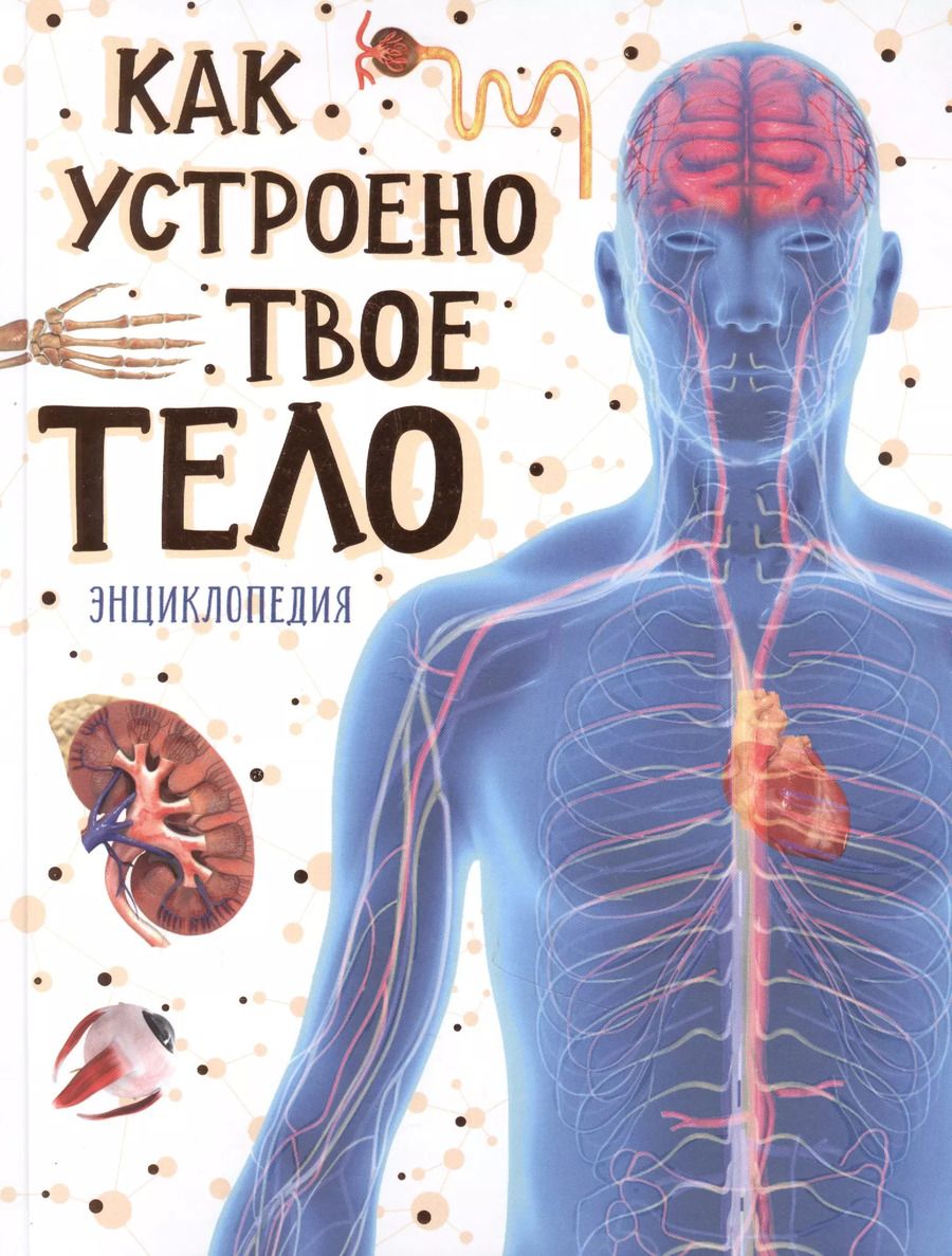 Обложка книги "Томас Канаван: Как устроено твое тело. Энциклопедия"