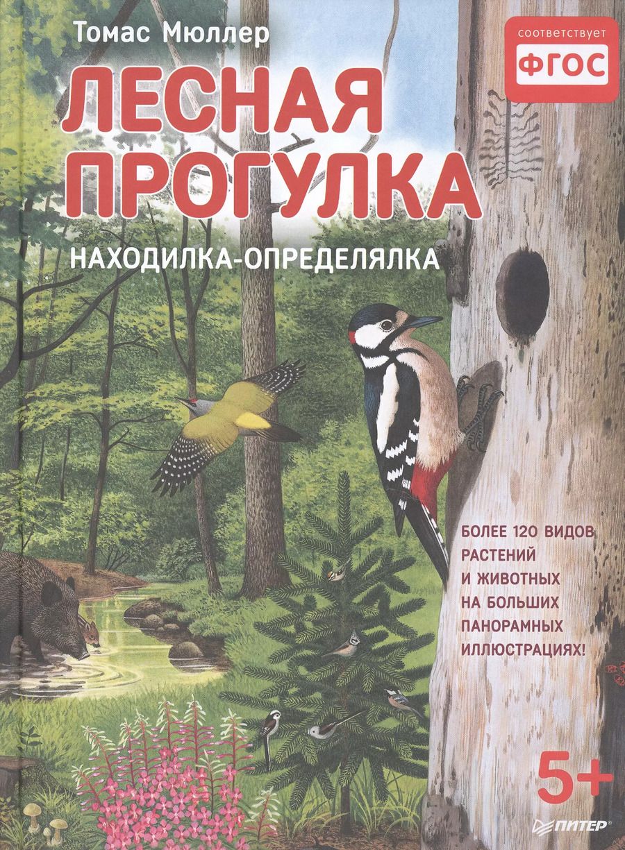 Обложка книги "Томас Мюллер: Лесная прогулка. Находилка-определялка с панорамными иллюстрациями. 5+"