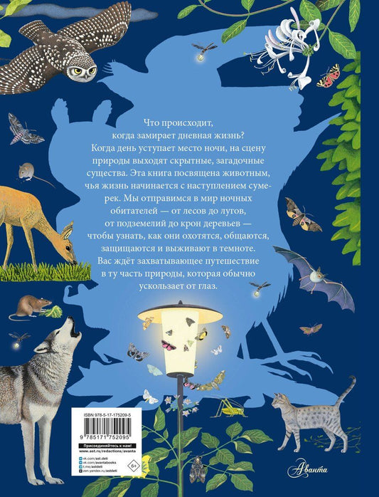 Обложка книги "Томас Мюллер: Ночные животные"