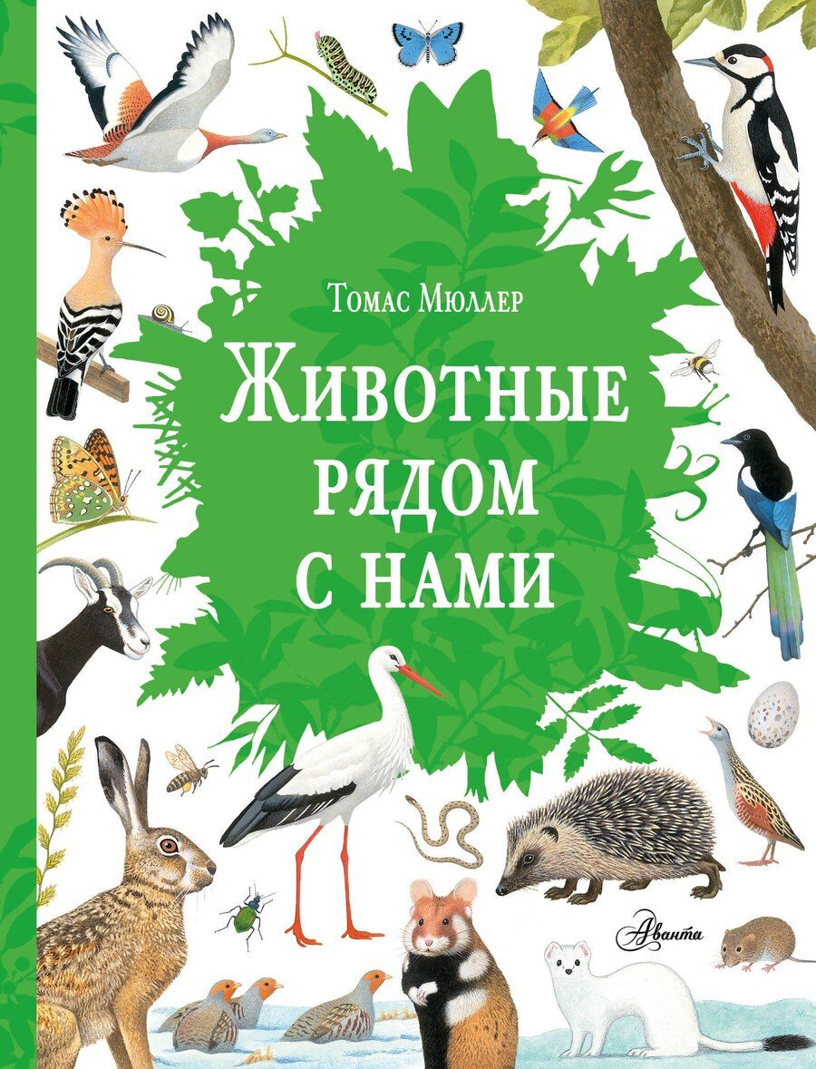 Обложка книги "Томас Мюллер: Животные рядом с нами"
