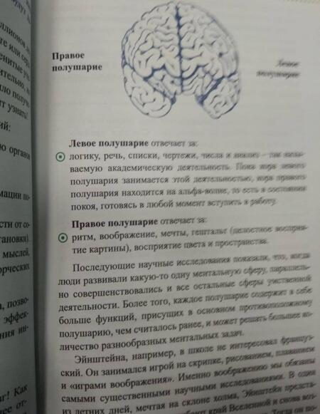 Фотография книги "Тони Бьюзен: Руководство по развитию памяти и интеллекта"