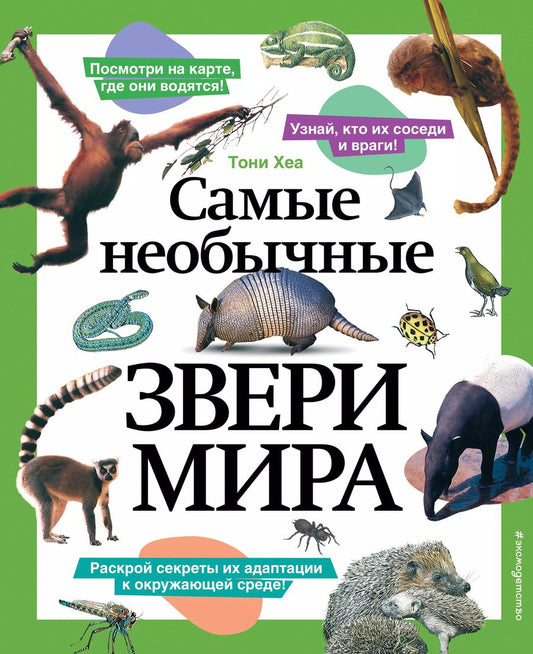 Обложка книги "Тони Хеа: Самые необычные звери мира"