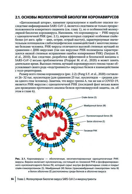 Фотография книги "Торшин, Громова: Микронутриенты против коронавирусов. Вчера, сегодня, завтра"