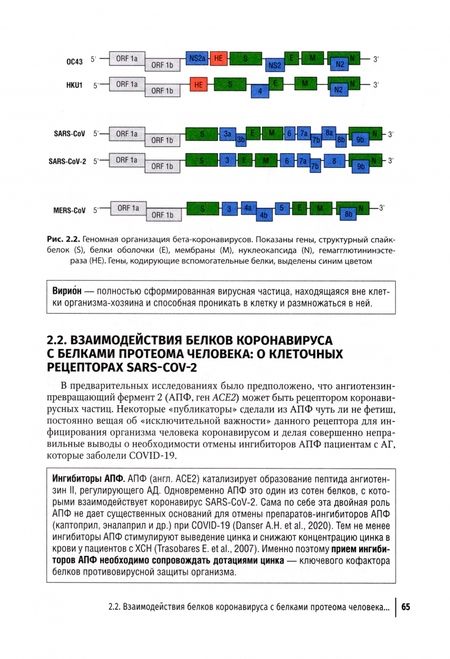 Фотография книги "Торшин, Громова: Микронутриенты против коронавирусов. Вчера, сегодня, завтра"