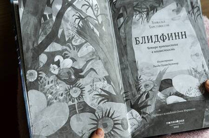 Фотография книги "Торстейнссон: Блидфинн. Четыре путешествия в неизвестность"