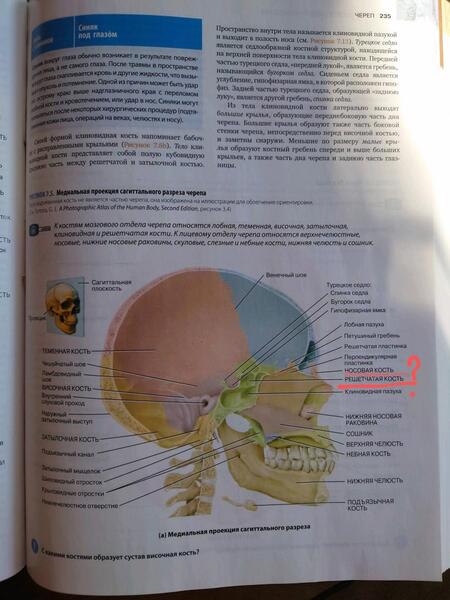 Фотография книги "Тортора: Анатомия. Физиология. Фундаментальные основы"