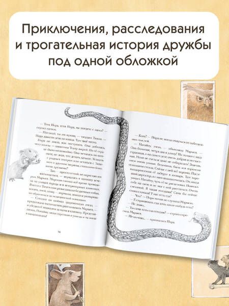 Фотография книги "Трауб: Кот Тихон и новые испытания"