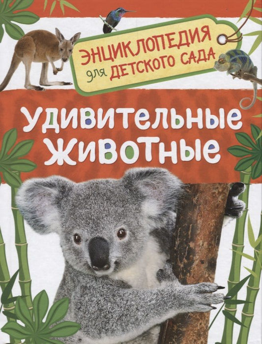 Обложка книги "Травина ИринаУдивительные животные. Энциклопедия  для детского сада"