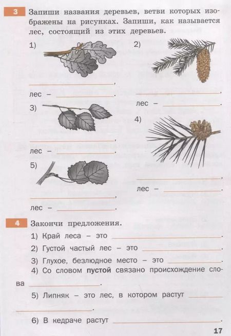 Фотография книги "Тренажер по русскому родному языку. 3 класс"