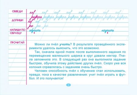 Фотография книги "Тренажёр по чистописанию. Подготовка к контрольному списыванию. 4 класс"