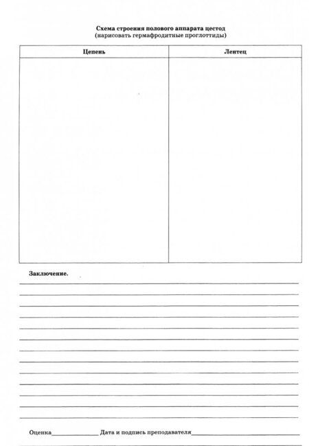 Фотография книги "Третьяков, Евдокимов: Паразитология и инвазионные болезни. Рабочая тетрадь. Учебное пособие"