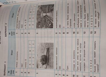 Фотография книги "Трофимова, Языканова: ВСОКО. Литературное чтение. 3 класс. Типовые задания. 10 вариантов заданий. ФГОС"