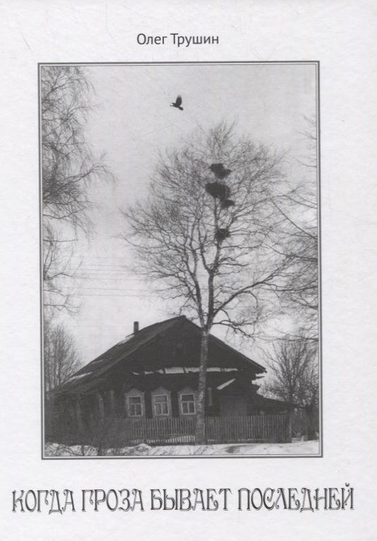 Обложка книги "Трушин: Когда гроза бывает последней"