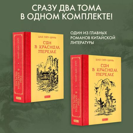 Фотография книги "Цао Сюэ-цинь: Сон в красном тереме"