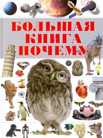 Обложка книги "Цеханский: Большая книга "Почему""